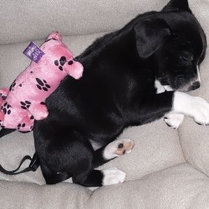 Meet your Posher, Caroline